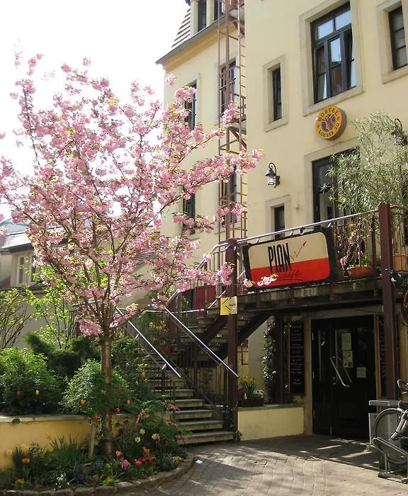 Hostel Louise 20-1